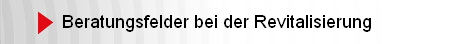 Beratungsfelder bei der Revitalisierung