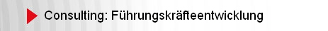 Consulting: Fhrungskrfteentwicklung