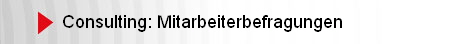 Consulting: Mitarbeiterbefragungen