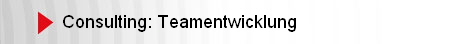 Consulting: Teamentwicklung