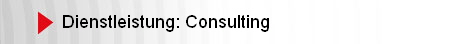 Dienstleistung: Consulting