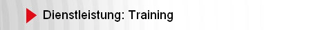 Dienstleistung: Training