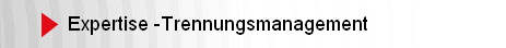 Expertise -Trennungsmanagement