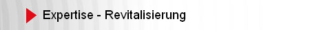 Expertise - Revitalisierung