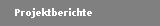 Projektberichte