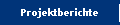 Projektberichte