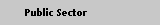 Public Sector