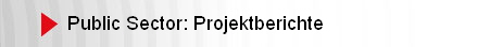 Public Sector: Projektberichte 
