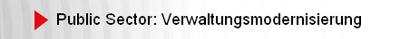 Public Sector: Verwaltungsmodernisierung